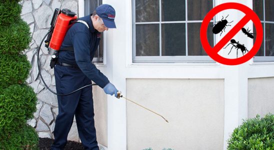 Sahilevleri Fare İlaçlama böcek ilaçlama ve haşere kontrolü — ilaclama-tr.com